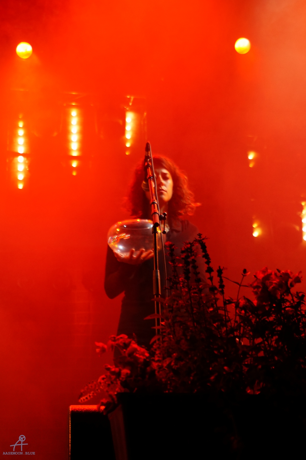 DSC02546
