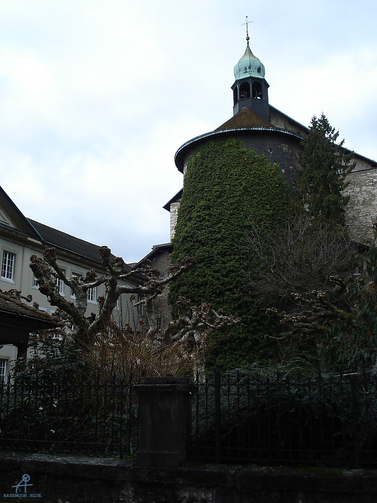 DSC06231
