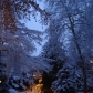 DSC06270