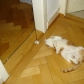 DSC06311