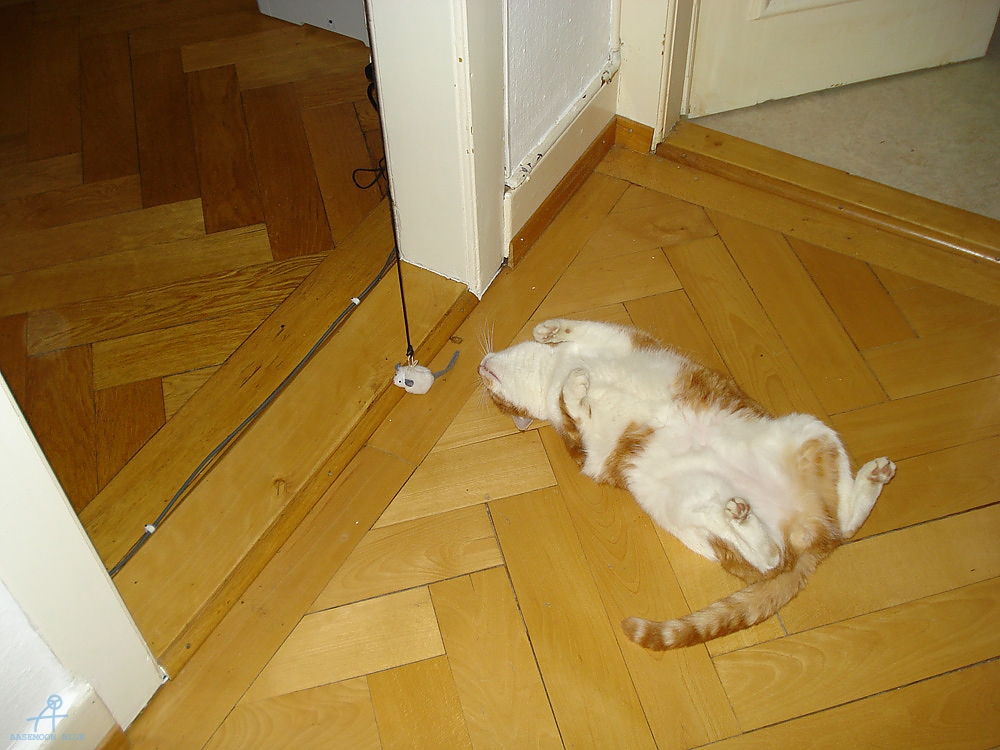 DSC06311