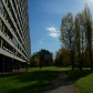 DSC07994