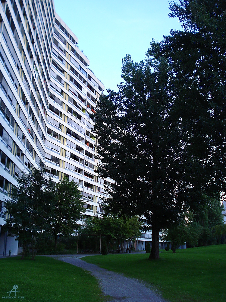 DSC07363