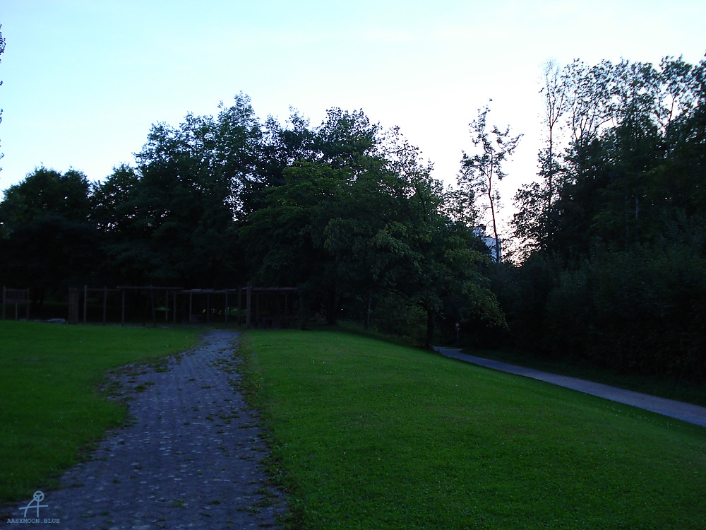 DSC07367