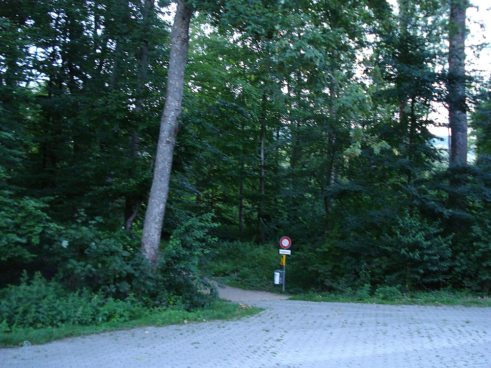 DSC07369