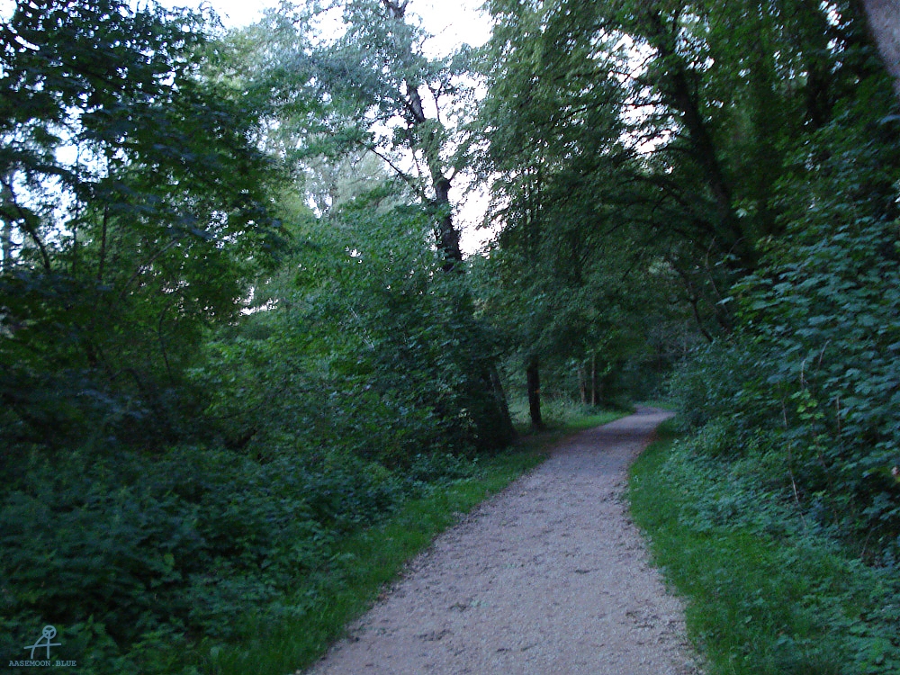 DSC07376