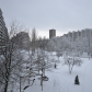 _DSC0218