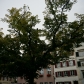 DSC01879