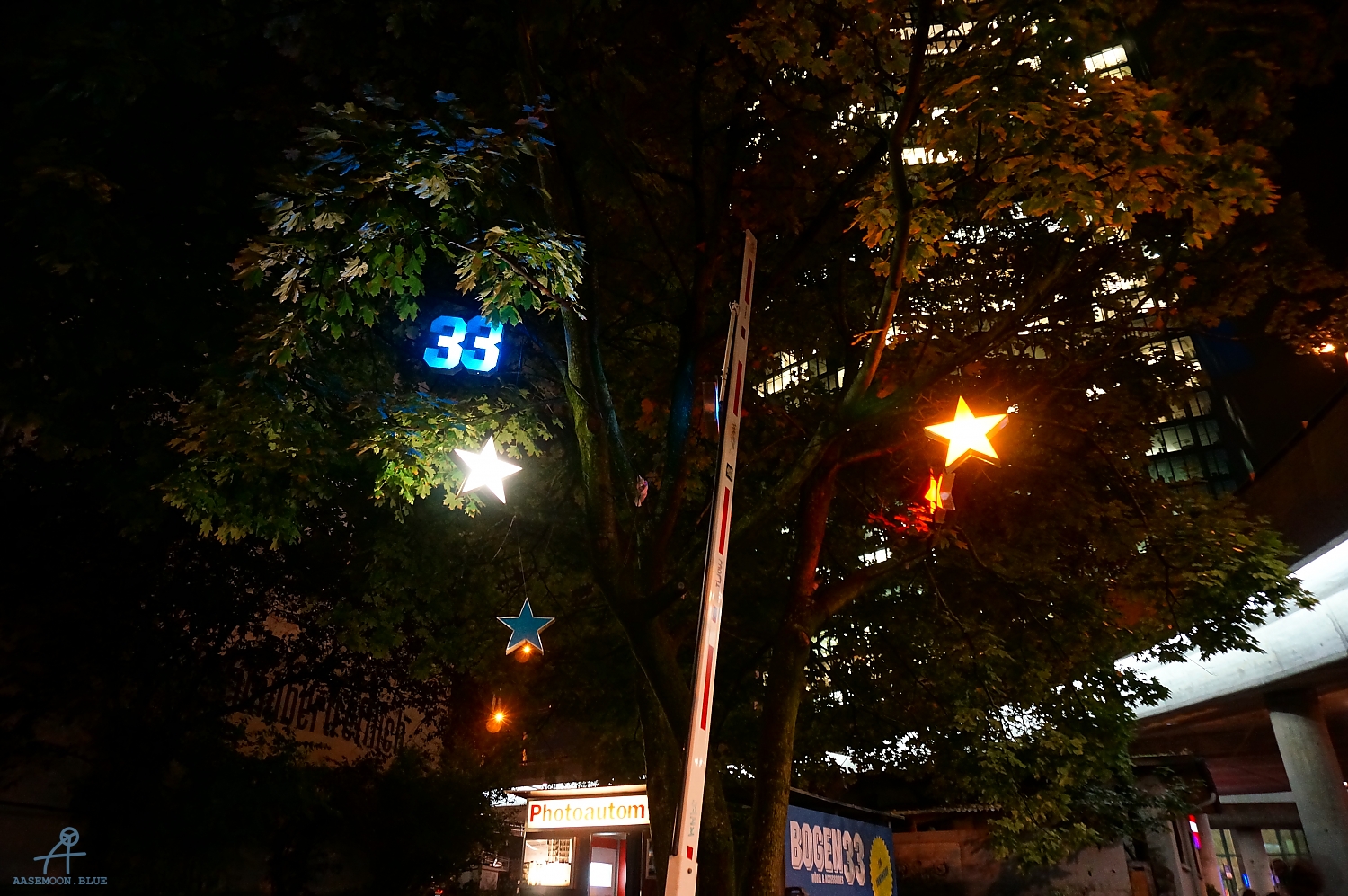 DSC01733