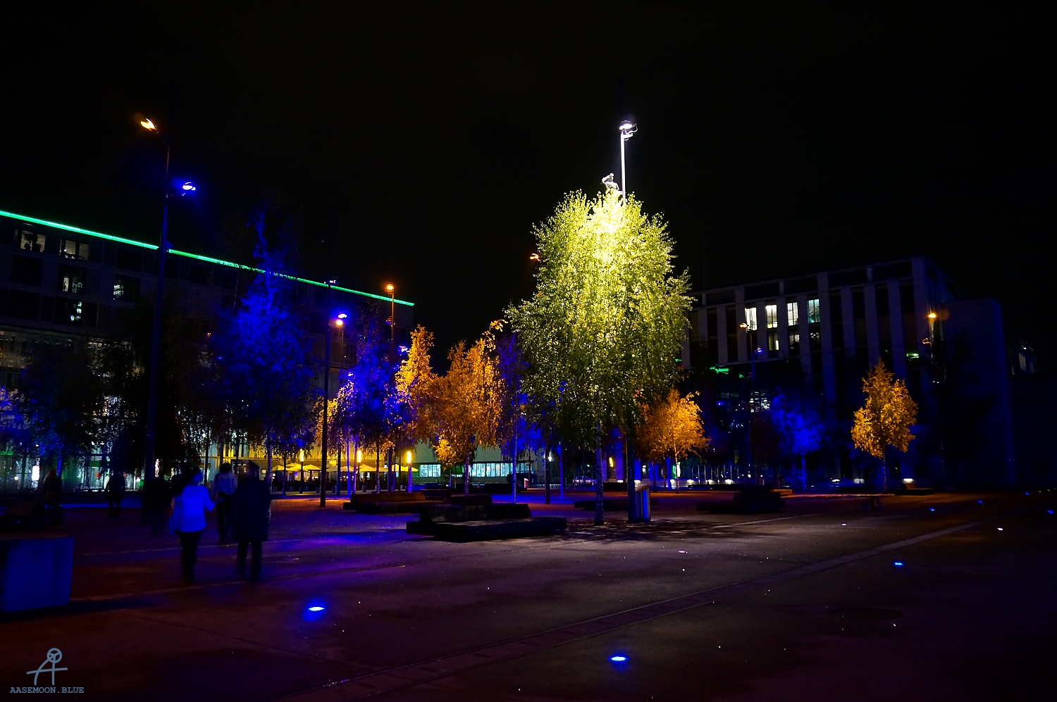 DSC01769
