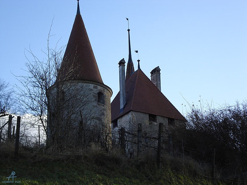 DSC01096