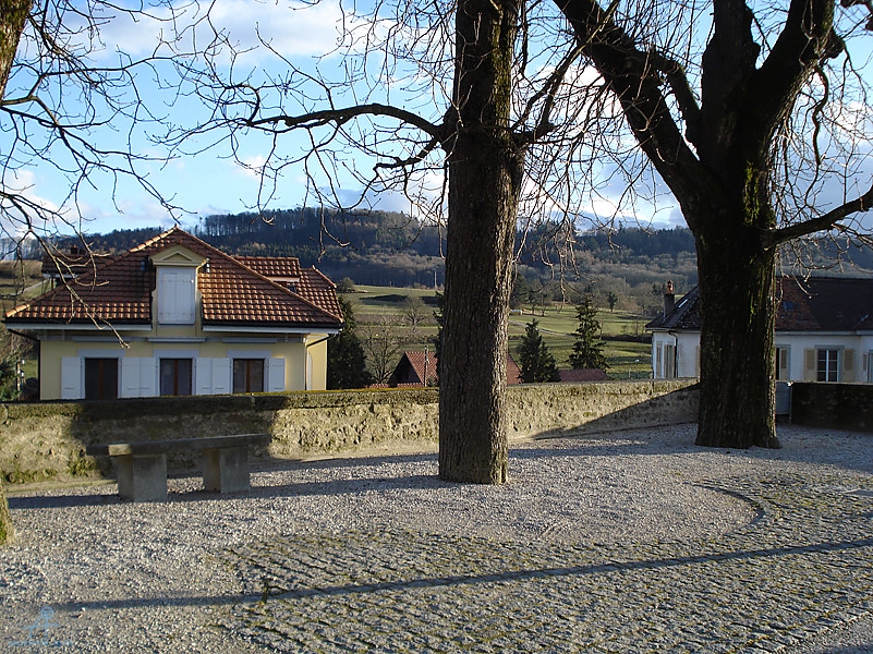 DSC01163