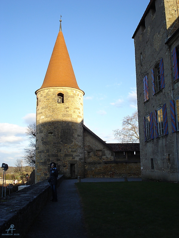 DSC01194