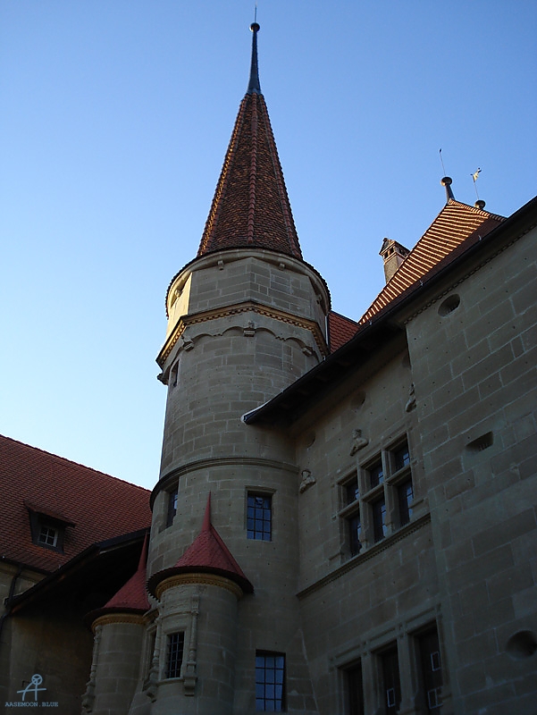 DSC01207