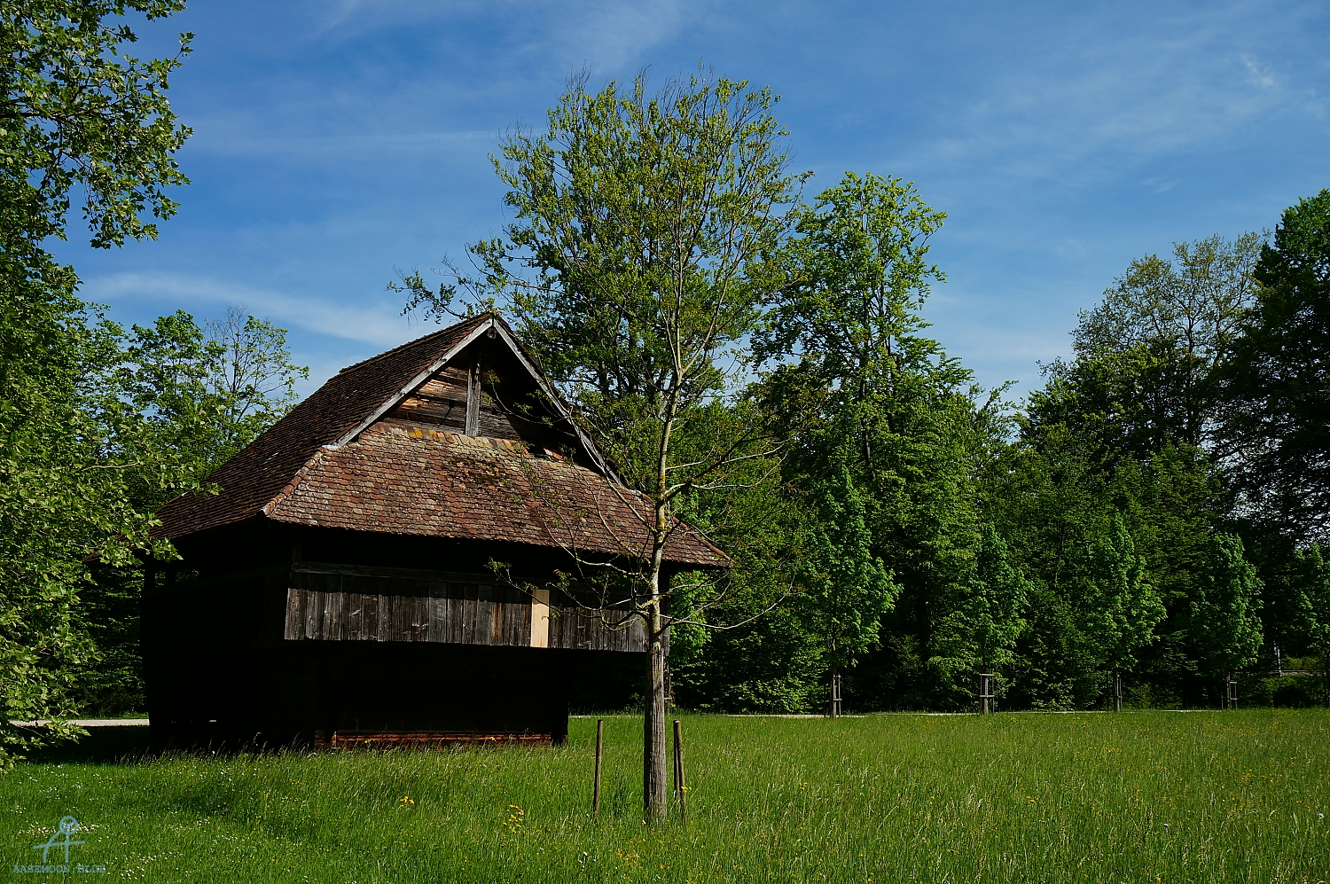 DSC06316