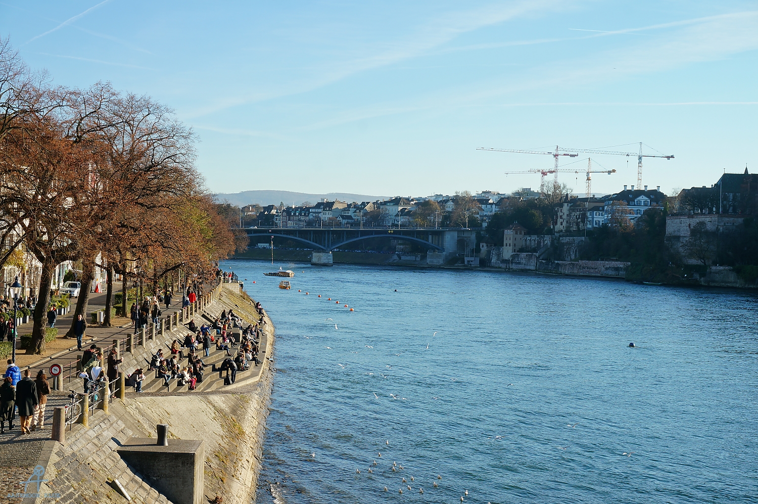 DSC03940