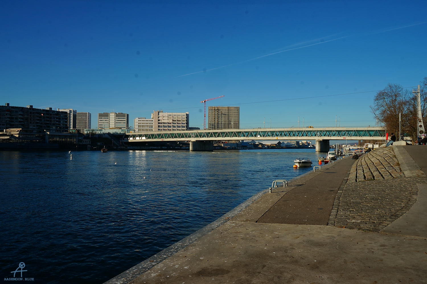 DSC03964