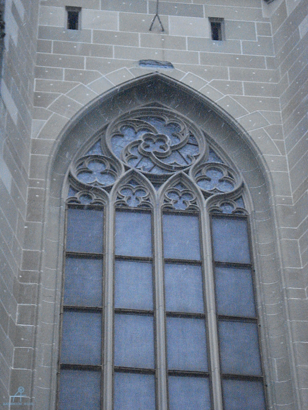 DSC00513
