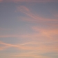 DSC01367
