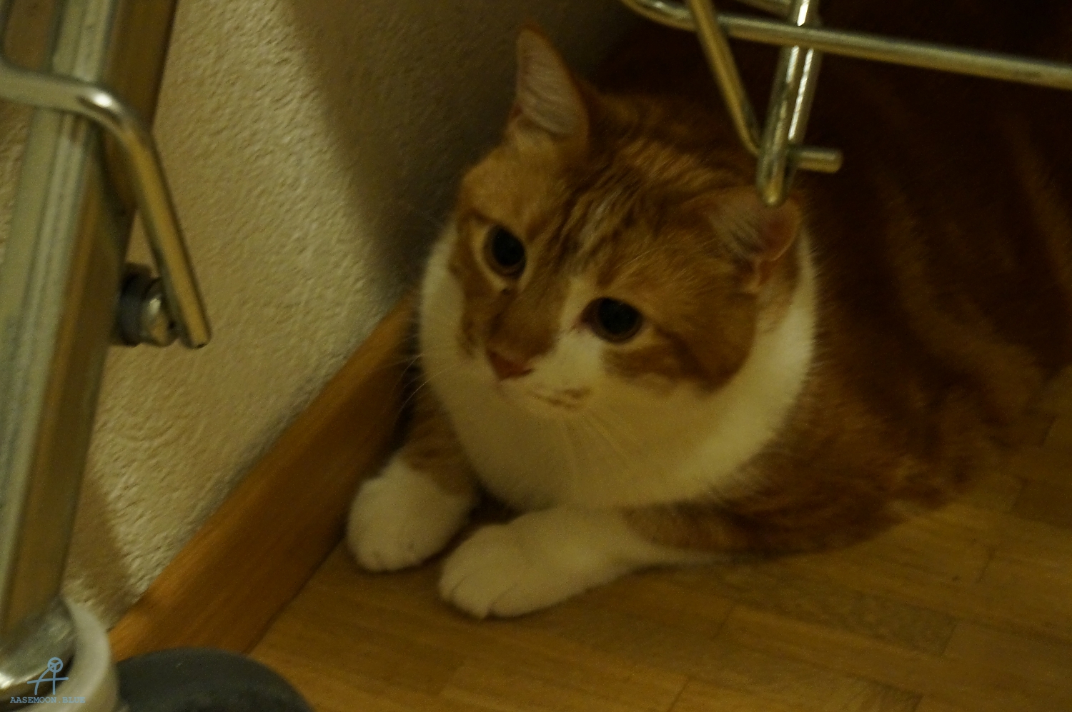DSC00019
