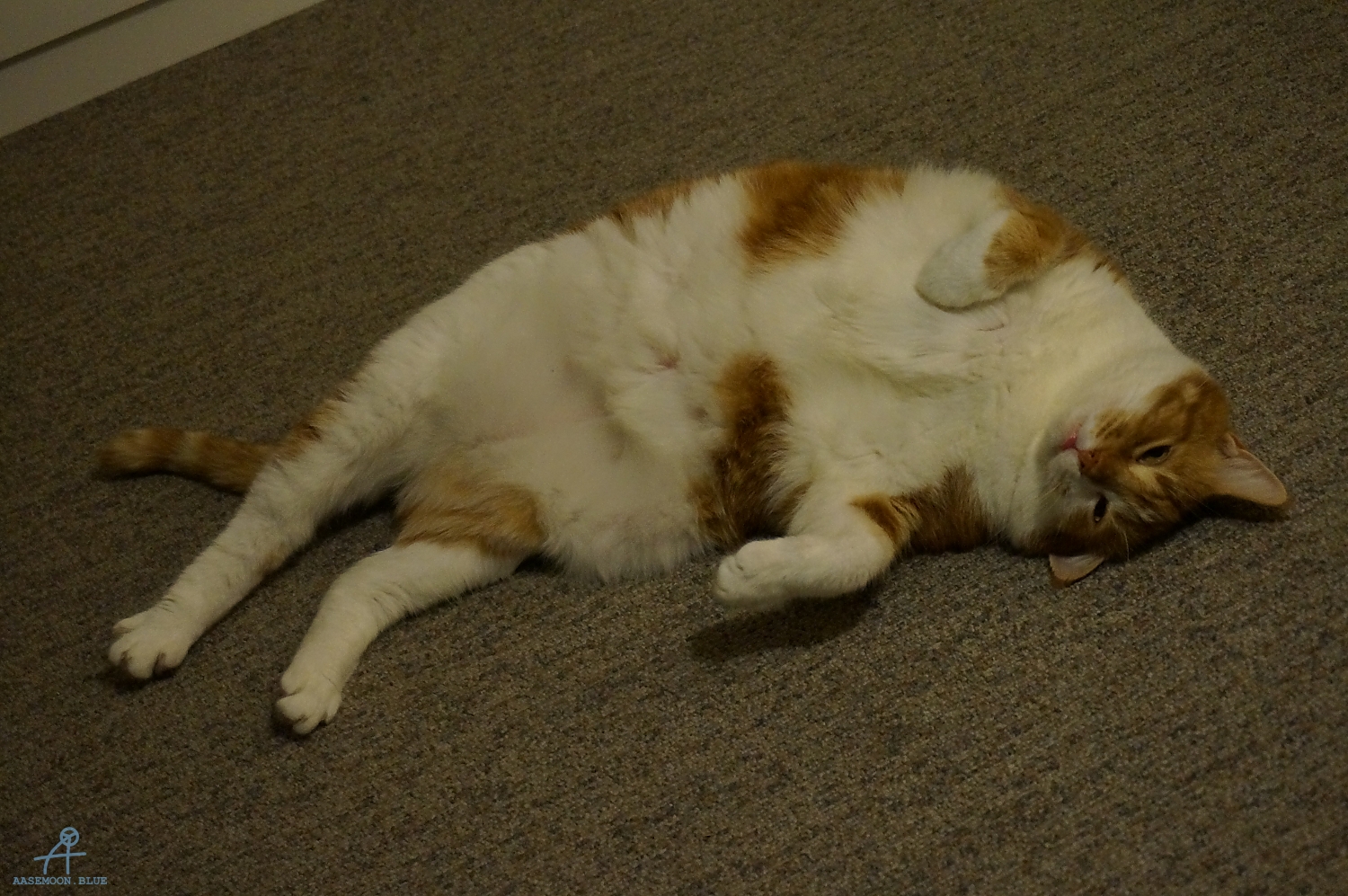 DSC00035