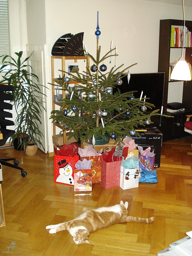DSC06062