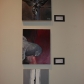 DSC04501