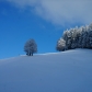 DSC03540