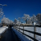 DSC03576