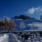 DSC03584