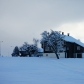 DSC03636