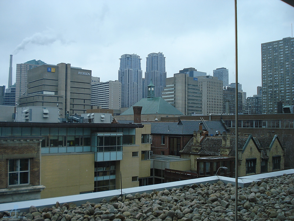 DSC05952