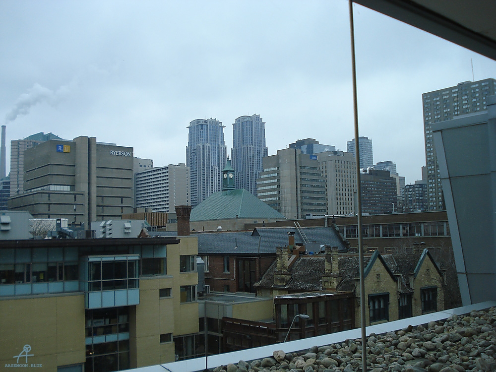 DSC05954