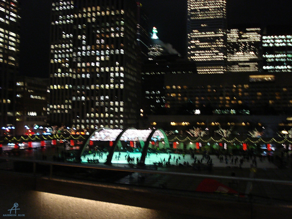DSC05982