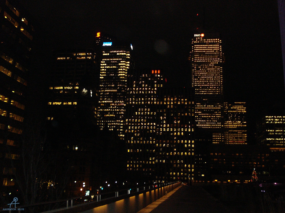 DSC05987
