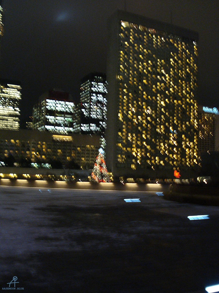 DSC05989