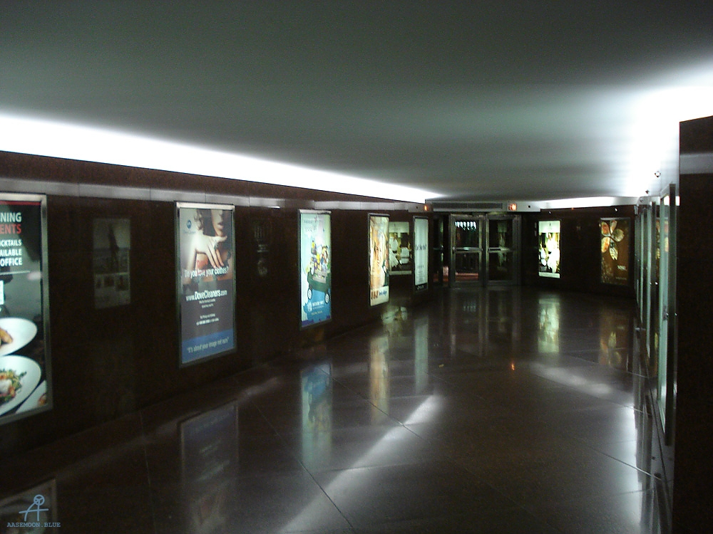 DSC06003