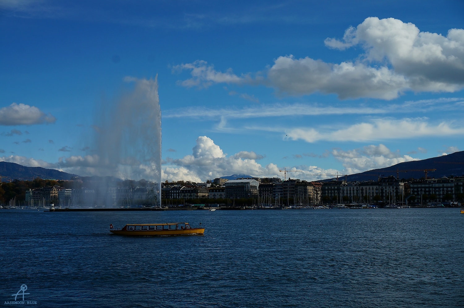 DSC02660