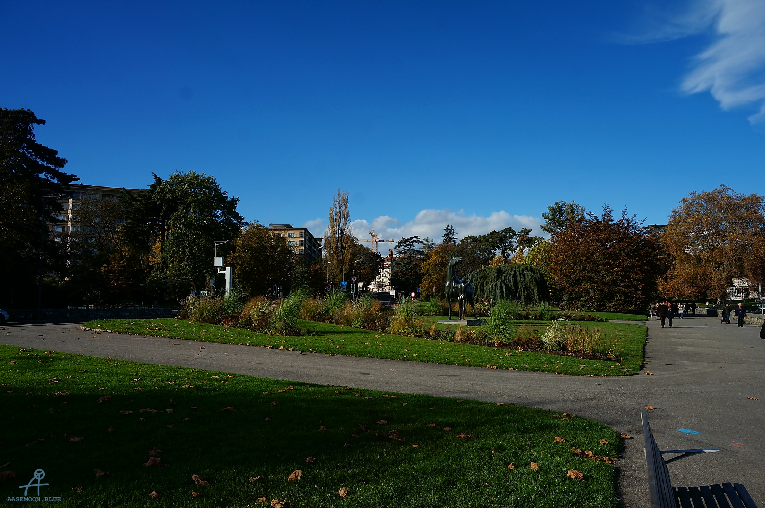 DSC02690