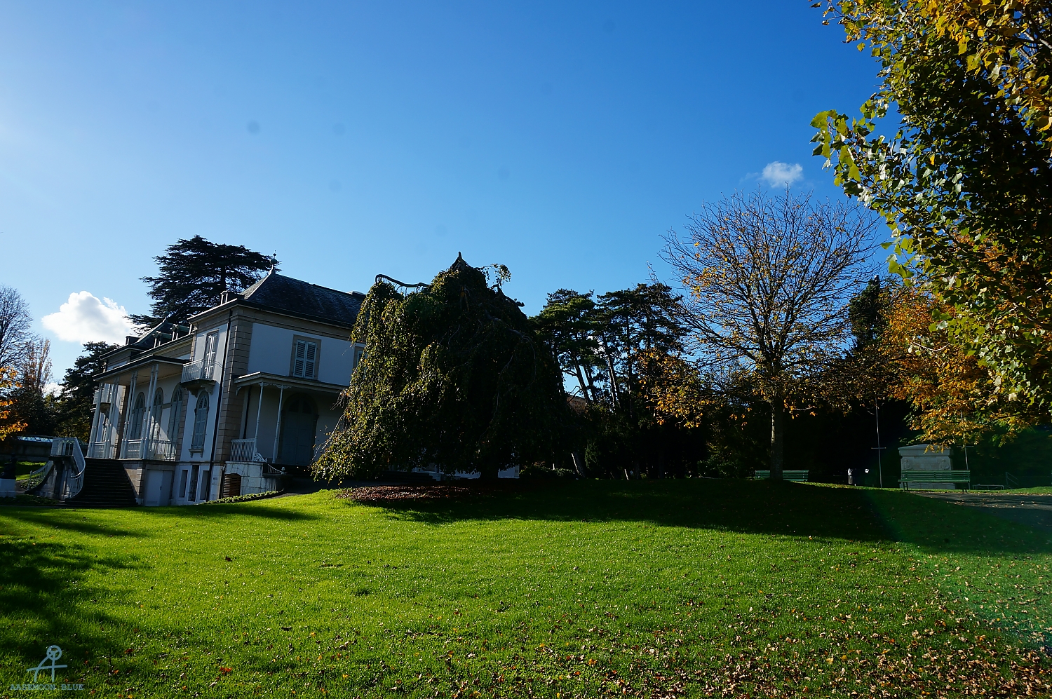 DSC02698