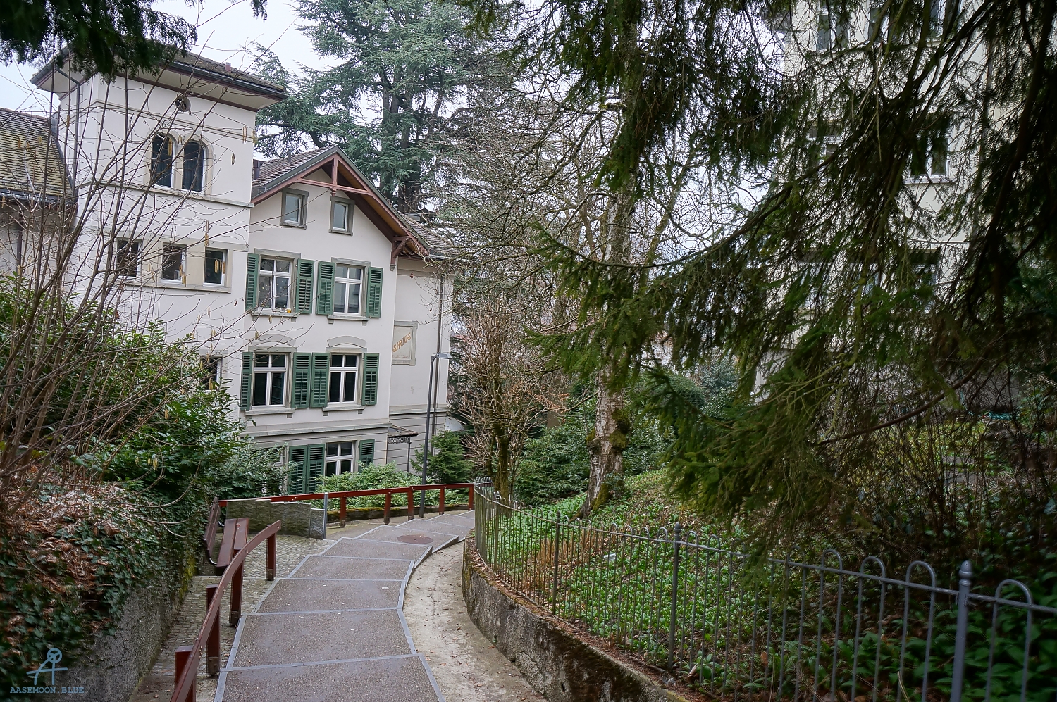 DSC07514