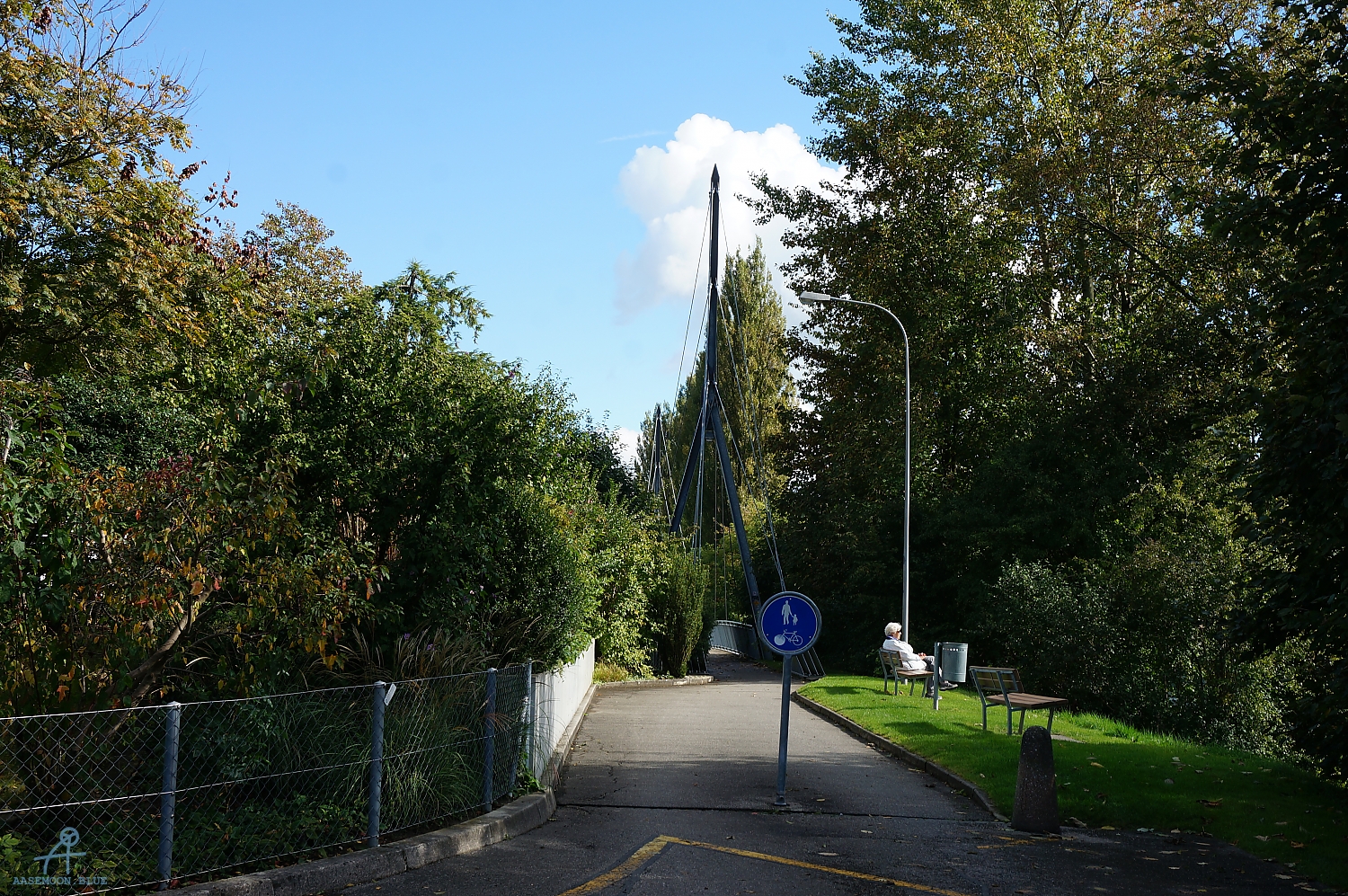 DSC01994
