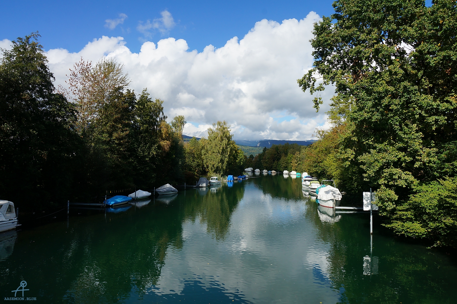 DSC02009