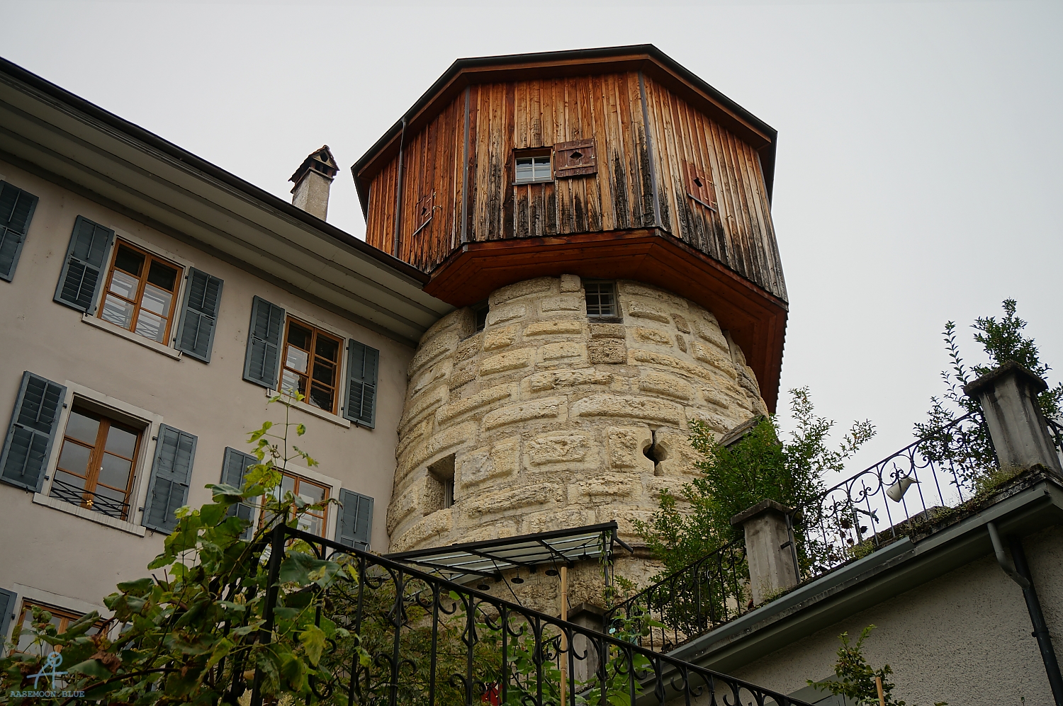 DSC02051