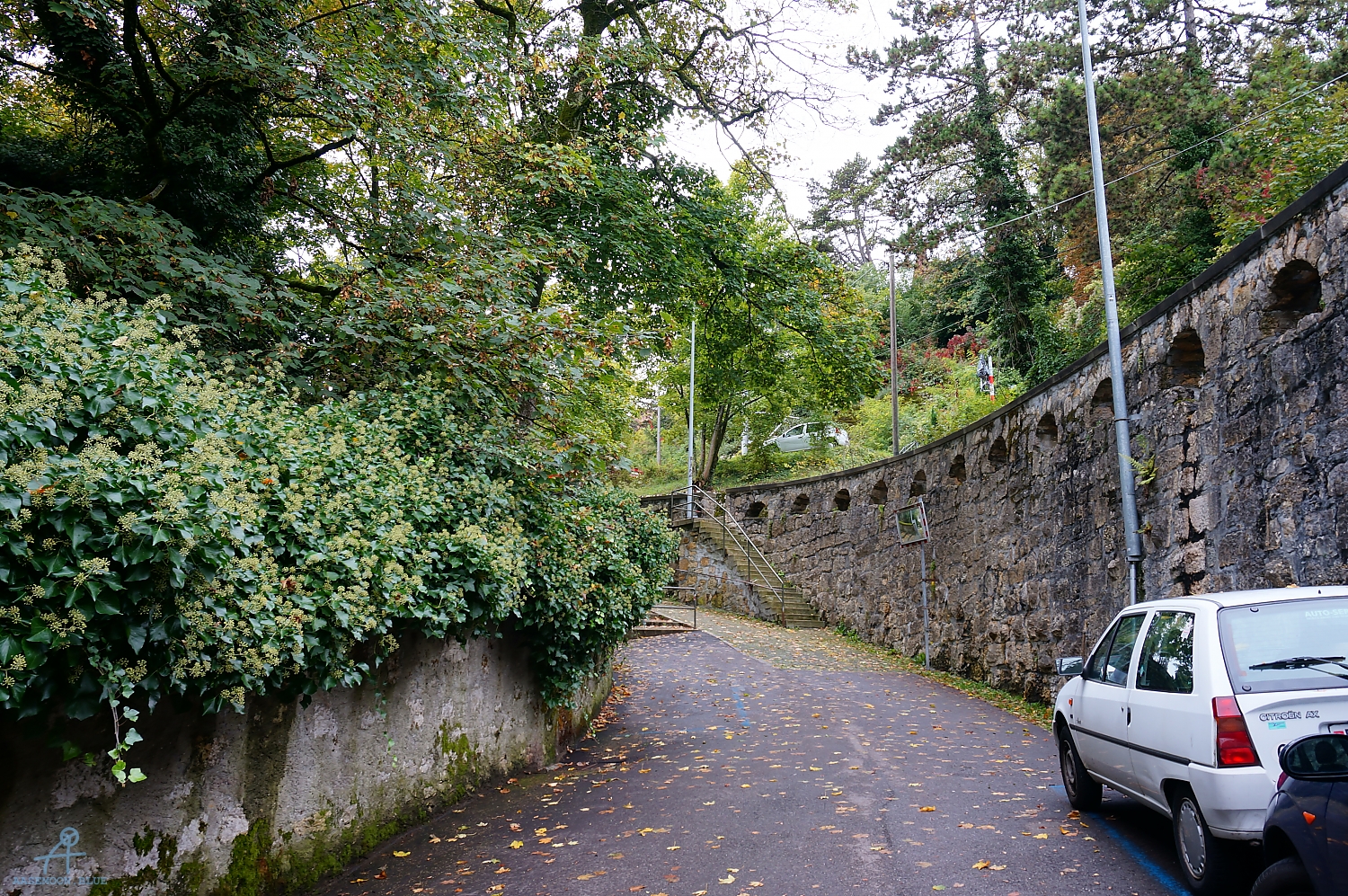 DSC02069