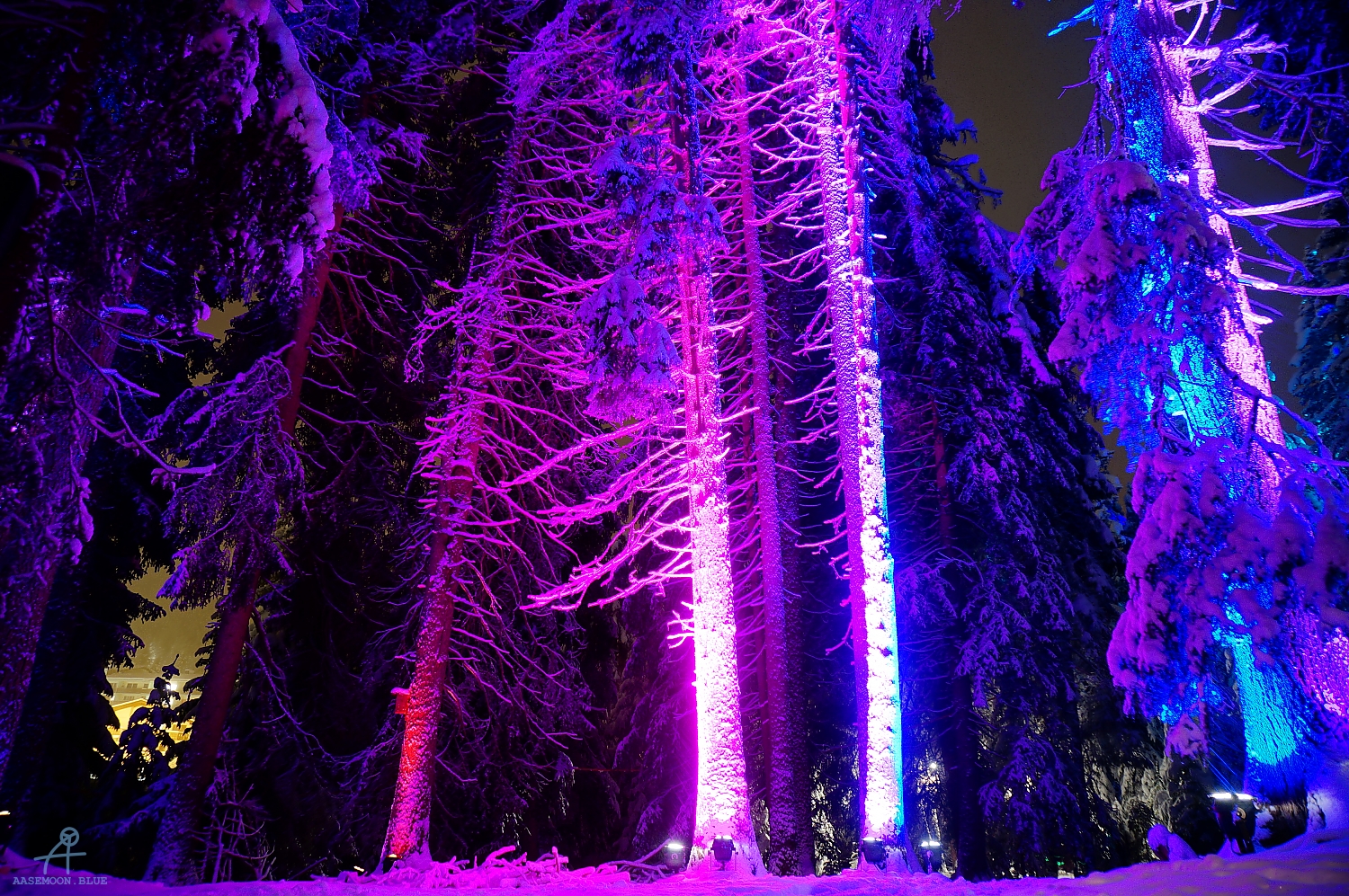 DSC05079