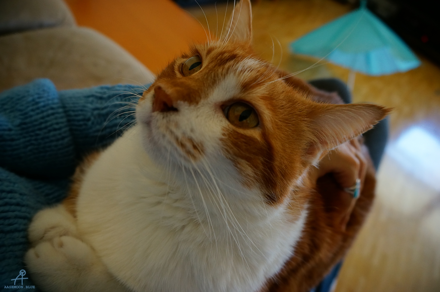 DSC05187