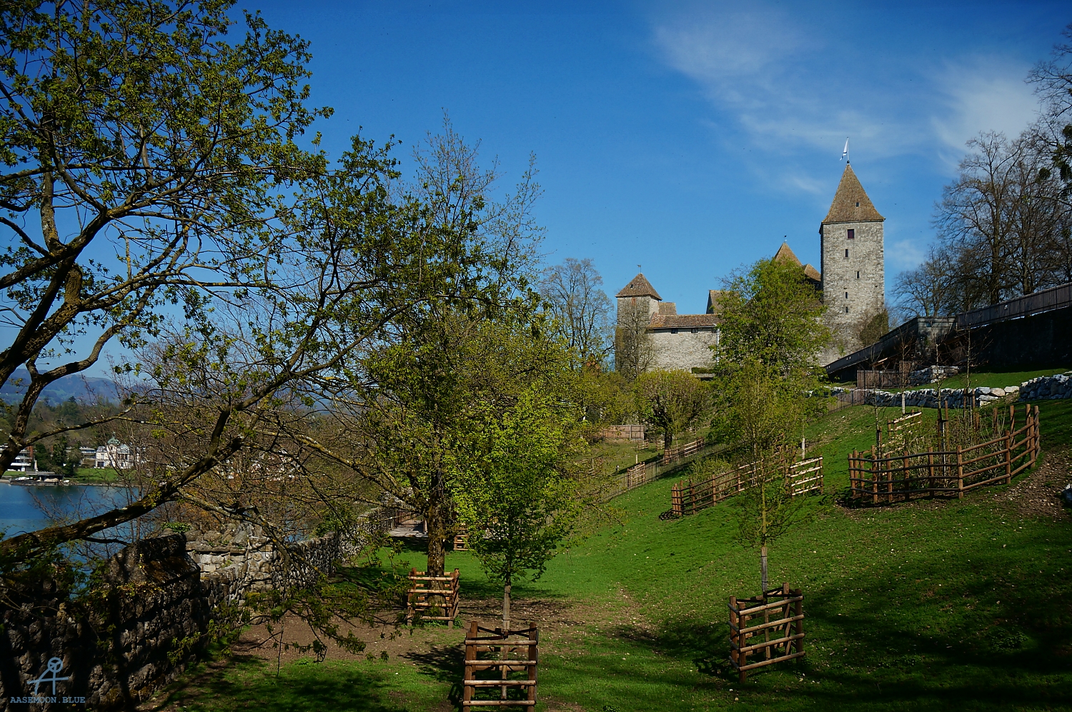 DSC05892