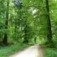 DSC07085