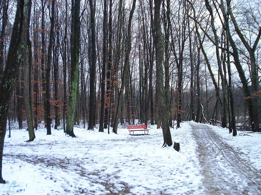 DSC07714